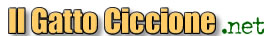 Il Gatto Ciccione.net
